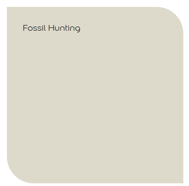 Fossil-Hunting